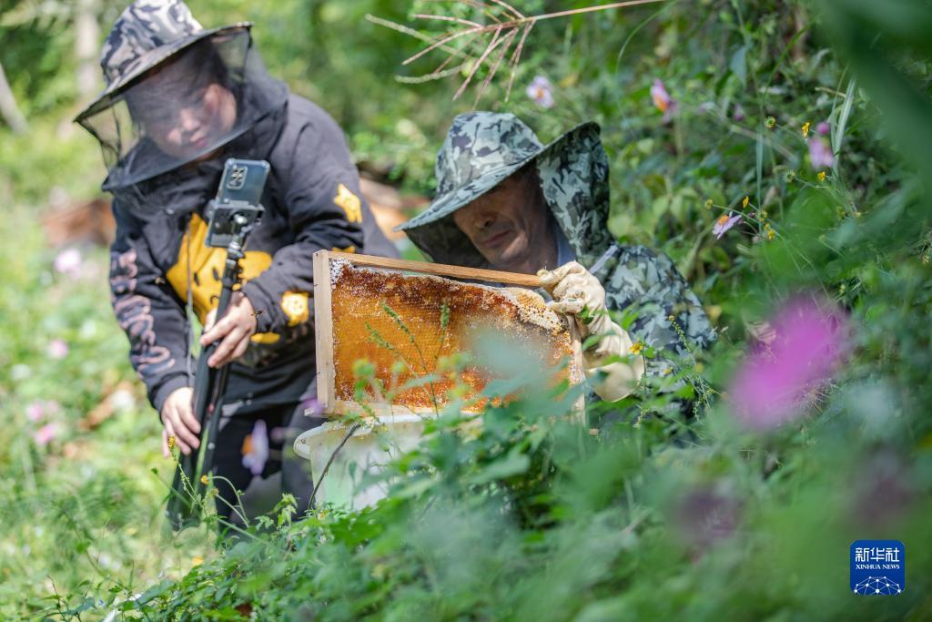 捕鱼注册送金币可下分